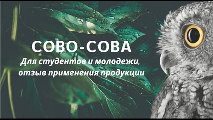 Сово сова компания. Оптимист сова сова. Супресен сова сова. Сова-сова продукция. Оптимист сова сова.