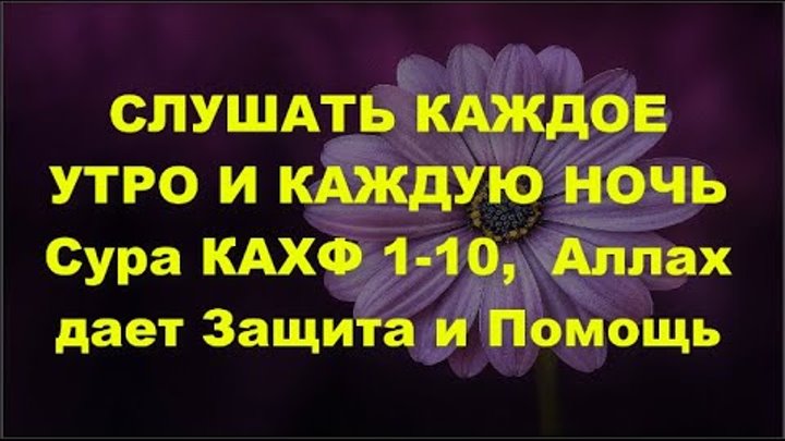 сура аль кахф слушать мишари. сура кахф мишари рашид. сура кайф. сура аль кахф слушать мишари. сура аль каф.