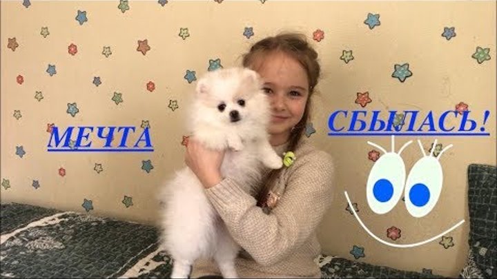 Сбылась мечта собака. Собака мечтает о хозяине. Книги про собак. Сбылась мечта собака. Собака мечты.