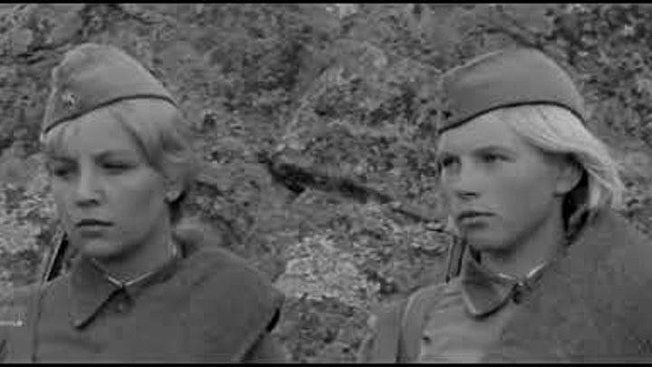 любэ а зори здесь тихие минус. а зори здесь тихие караоке. а зори здесь тихие. любэ и офицеры группы альфа а зори здесь тихие-тихие. а зори здесь тихие кадры из фильма.