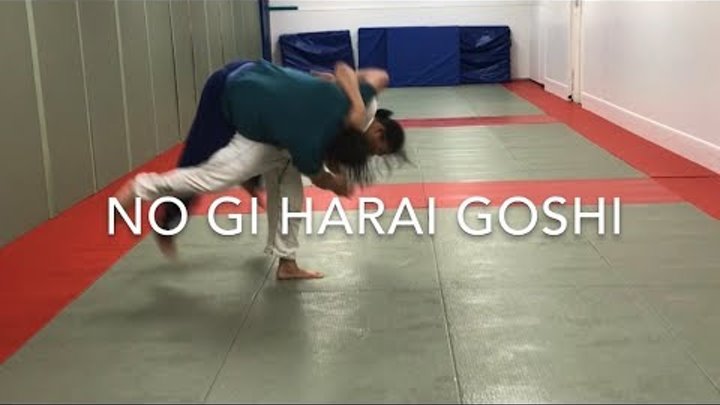 Harai Goshi РґР·СЋРґРѕ
