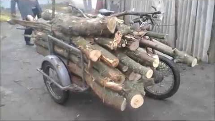 Прицеп Bob Ibex