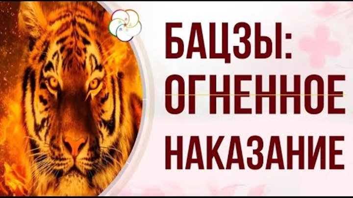 Наказания в ба цзы. Бацзы обезьяна змея. Огненное наказание в бацзы. Обезьяна и тигр в бацзы. Картинки огненное наказание.