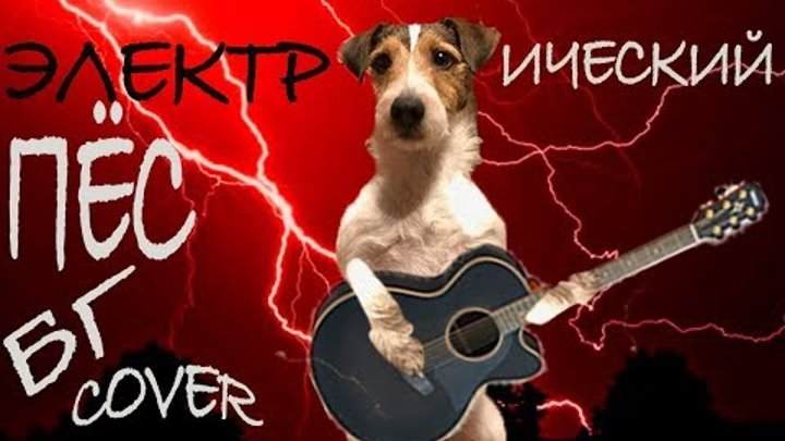 Электрический пес гроб. Электрический пёс аквариум. Электрический пес. Б. Электрический пес текст.