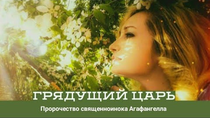 Лев мудрый пророчества о царе. Лев мудрый пророчества. Оракулы льва мудрого. Лев мудрый пророчества о царе. Мудрый красивый лев.