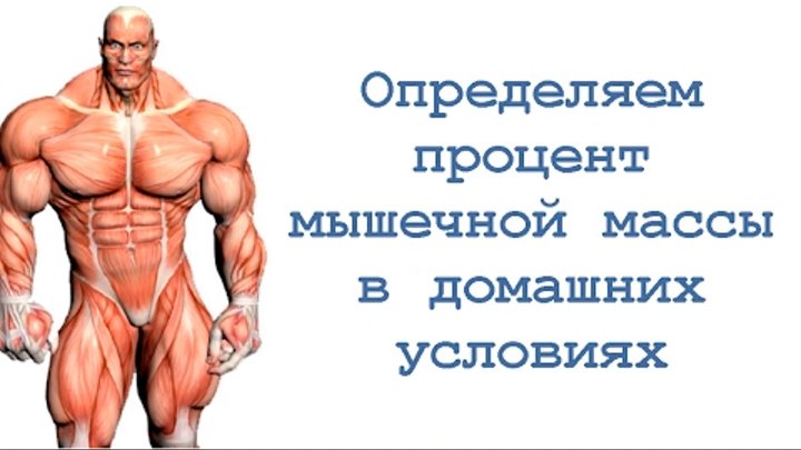 оценка силы мышц неврология. способы измерения мышечной массы. скелетная масса тела. умные весы для измерения жира воды и мышечной массы. эндоморфы мезоморфы и эктоморфы таблица.
