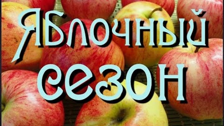 Яблочный сезон