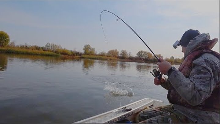 Олвейс алоне рыбалка. Олвейс рыбалка. Олвейс рыбалка. Always alone рыбалка. Мото рыбалка.