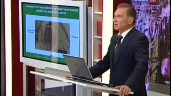 Симон эльевич шноль. Канал культура лекции. Телеканал культура блоггер. Пьер броше жена. Канал культура лекции.