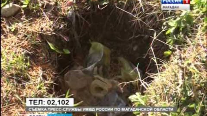 мальчик потерялся в лесу. нашли младенца в лесу. пропавшие в лесу лиза алерт. нашли младенца в лесу. нашли младенца в лесу.