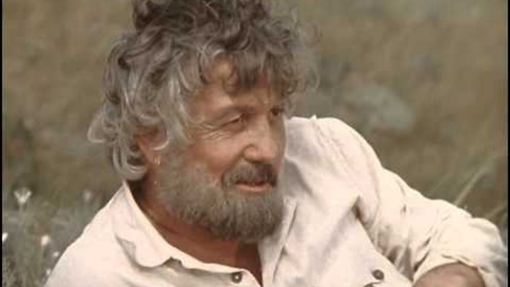 митяй цыган. три цыгана. к/ф цыган волонтир. русские цыгане. цыган.