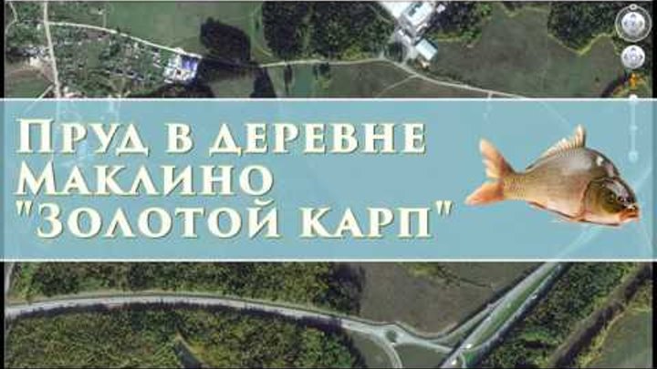 маклино щука. 11 канал х садки.