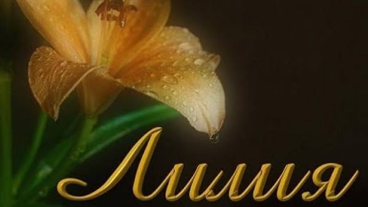 Картинки Лиля