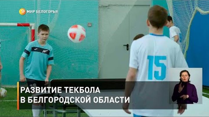 Развитие спорта в белгородской области проект