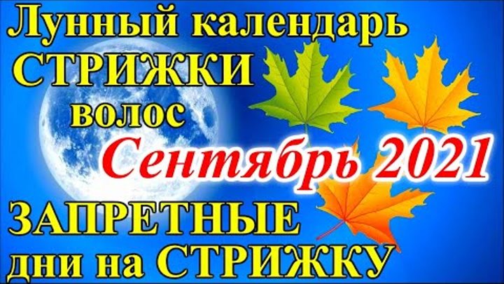Календарь стрижек апрель 2025г миркосмоса ру - найдено 73 картинок