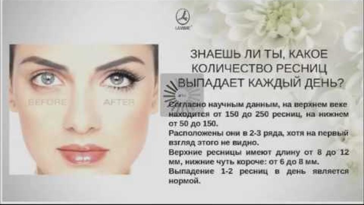 этапы роста ресниц. сколько ресниц выпадает. могут ли выпадать ресницы от туши. сколько ресниц выпадает. сколько ресниц выпадает.