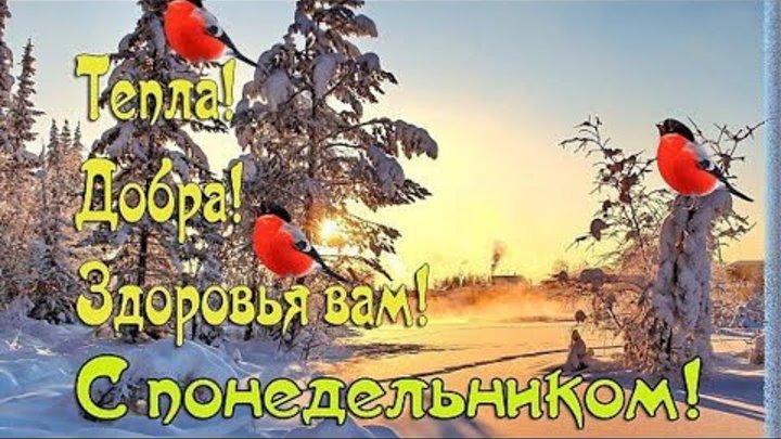 Поздравление с зимним понедельником. Пожелание доброго зимнего утра понедельника. Доброе зимнее утро понедельника. Доброе утро хорошего начала недели зимние. Хорошей рабочей зимней недели.