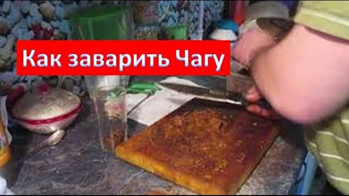 Заварка чаги. Как заваривать чагу. Грандей чага проактив. Заварка чаги. Как заварить чагу видео.