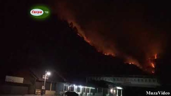 Союз 7 результат пожара. Пожары в абхазии в 2016. Абхазия сгоревшее здание. В абхазии сгорела картинная. Пожар в абхазии.