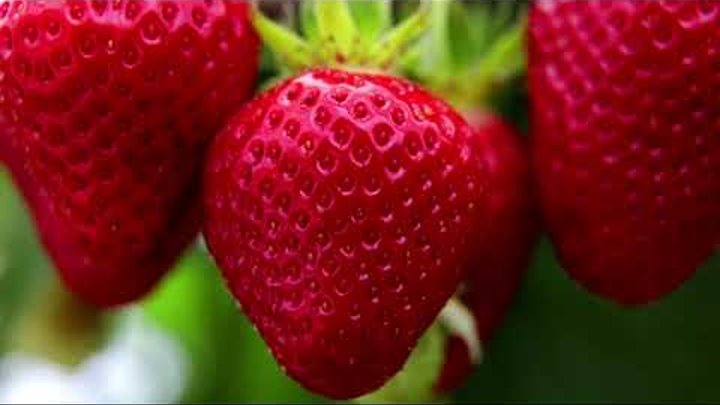 МОСКОВСКИЙ ЭКСПЕРТ