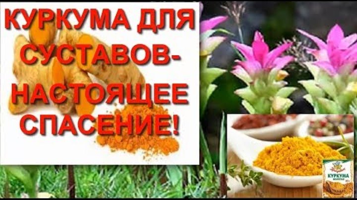 Куркумин для суставов. Куркума для суставов. Куркума с мёдом для суставов. Лечение суставов куркумой. Куркума от артрита.