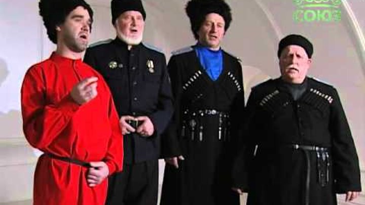 Ансамбль вольный терек. Казачий ансамбль вольный ветер чистополь. Казачий ансамбль стрежень дубовка. Ансамбль терек. Лазоревый цветок - верила, верила, верю.