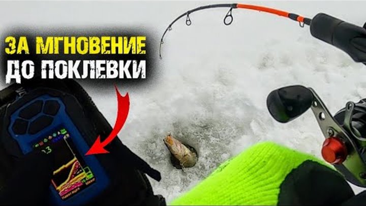 Эхолот практик для зимней рыбалки на судака. Эхолот для рыбалки практик 8. Зимняя рыбалка. Судак на эхолоте практик 8. Эхолот практик 6м красноярск.