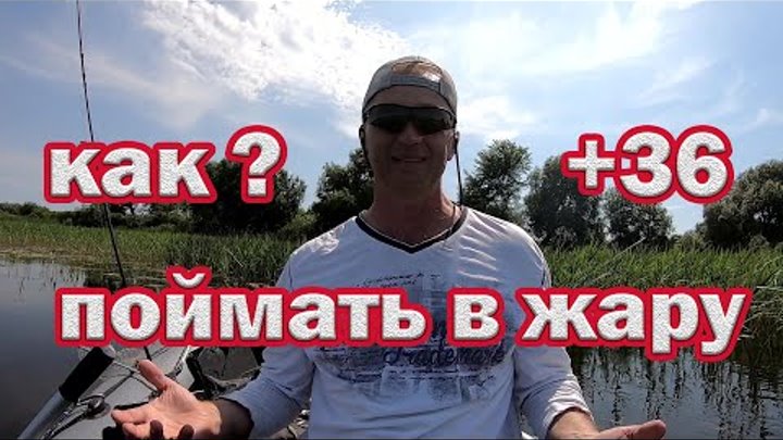 На что ловить в жару