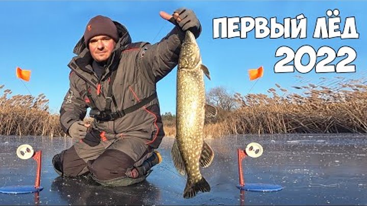 День зимней рыбалки 2020