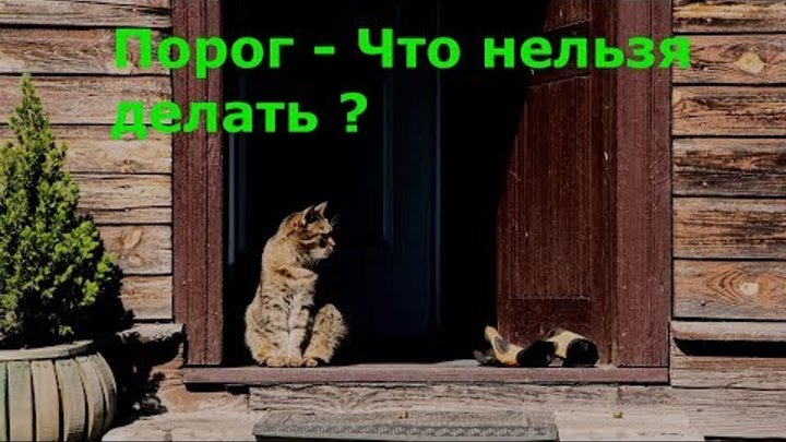 нельзя здороваться через порог. порог дома приметы. приметы порог дома. уличные коты. приметы порог дома.