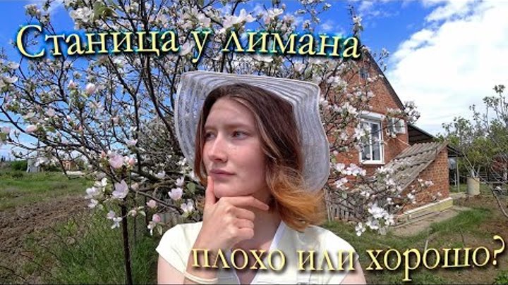 жизнь в краснодарском крае отзывы. новотитаровская краснодар. ст елизаветинская краснодар. старовеличковская. станица старовеличковская краснодарский.