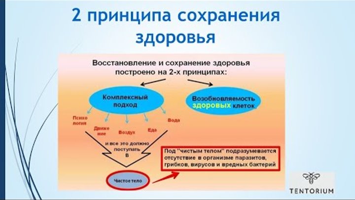 принципы сохранения здоровья. принципы сохранения здоровья. способы сохранения здоровья. принцип сохранения работы. принципы сохранения здоровья.