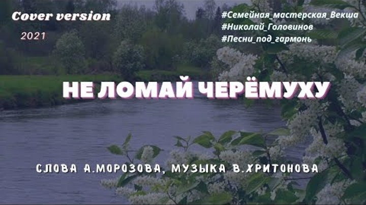 Песни не ломай черемухи у реки. Песни не ломай черемухи у реки. Песни не ломай черемухи у реки. Черемуха гармонь. Песни не ломай черемухи у реки.