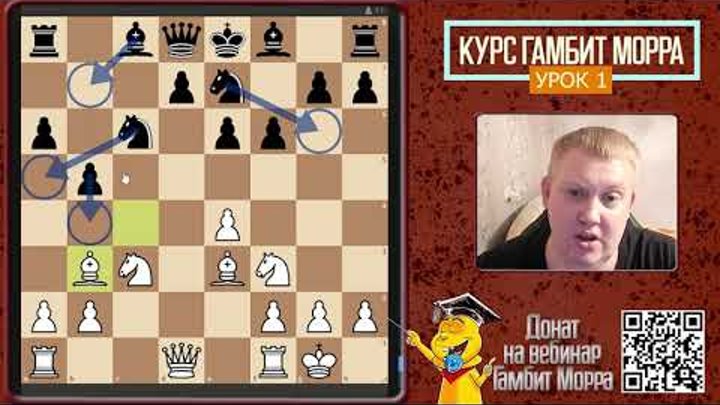 дебют морра. гамбит морра. гамбит морра. статистика по шахматам. северный гамбит шахматы за белых.