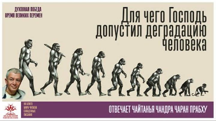 Деградация человека сочинение. Диградация или деградация личности. Стадо людей-деграданты?. Мы деградируем как человечество.