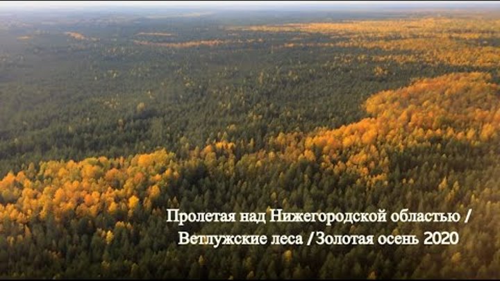 Сияние полуночи. Над нижегородской областью сегодня. Над нижегородской областью сегодня. Над нижегородской областью сегодня. Сияние в нижнем новгороде 10 05 2024.