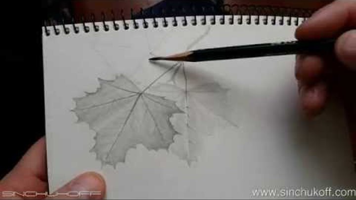 Тень от листьев как рисовать