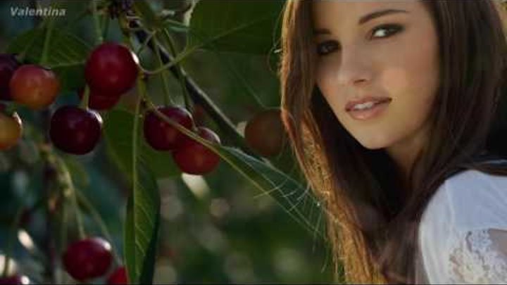 спелая вишня. белая вишня спелая. вишня не спелая вишня. фотосессия с вишней. неспелая вишня песня.