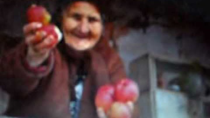 армянские песни. армянские треки. армянскиестаринние песни. старая армянская песня о дагестане. Lp rodrigues, amalia: busto.