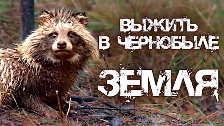 Документальный фильм "Зона Отчуждения. Выжить В Чернобыле (2020) / 1. Вода" - см