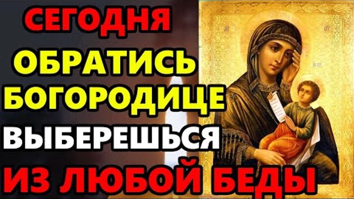 Цур соболева. Фото цур волгоград. Условия оплаты за хранение. Она обратилась в феврале. Цур волгоградской области сотрудники.