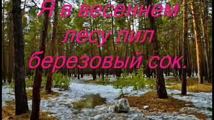 Песня в березовом лесу пил березовый сок. Я в весеннем лесу пил березовый сок. я в весеннем лесу. я в весеннем саду пил березовый сок. я в весеннем лесу пил березовый сок автор.