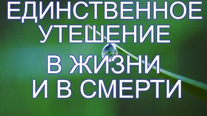 Высказывания святых отцов. У женщин единственное утешение в жизни. Утешение иракли, metamorphosi. У женщин единственное утешение в жизни. Цитаты святых.
