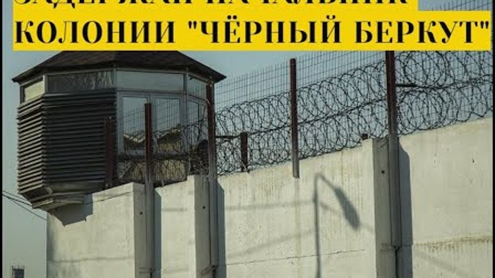 исправительная колония 56 черный беркут. колония «черный беркут» в житикаре. черный беркут где. ик-56 черный беркут. колония черный беркут в казахстане.