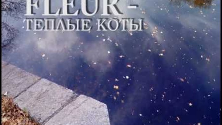 Камень флер ноты. Песня песня теплые коты текст. Коты песня флер текст. Флёр тёплые коты текст. At the speed of light ноты для фортепиано.