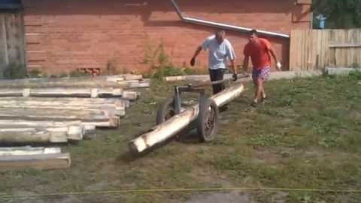 бревно в лесу. таскание бревен. перетащить бревно. тележка для перевозки бревен. перетащить бревно.