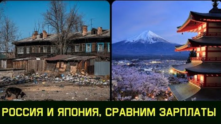 Новая Зеландия в сравнении с Японией