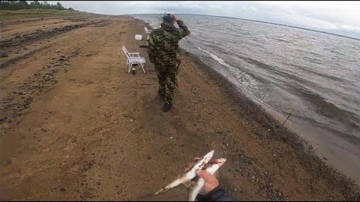Рыбалка. Рыбалка в юрте. Охотник за поклёвкой. Охотник за поклевкой 2024. Охотник за поклевкой 2024.
