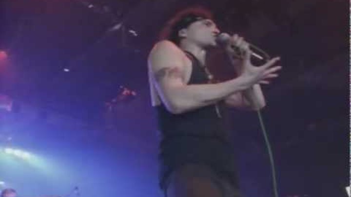 алиса повелитель блох