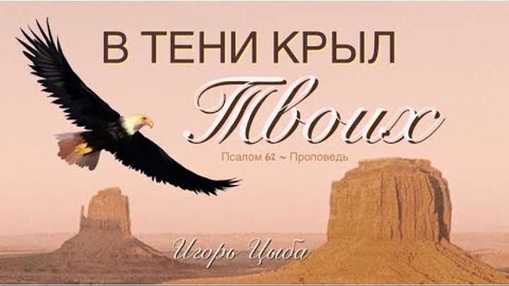 песня я. в тени крыл твоих укроюсь. песня в тени крыл. в тени крыл твоих укроюсь я. песня в тени крыл.